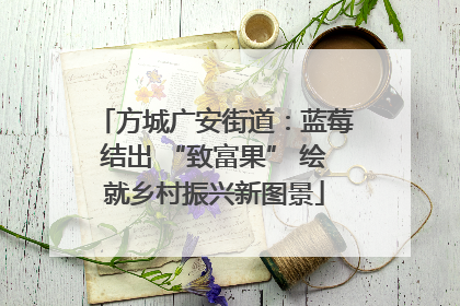 方城广安街道：蓝莓结出 “致富果” 绘就乡村振兴新图景